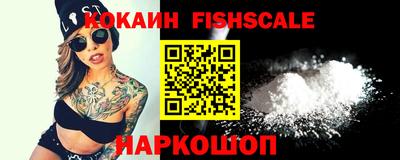 крисы Гатчина