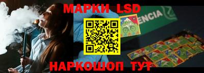 крисы Гатчина