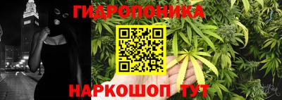 крисы Гатчина