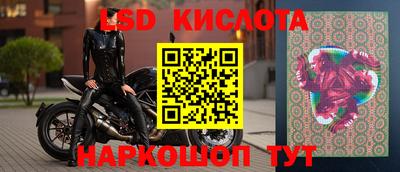 крисы Гатчина