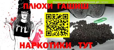 не бодяженный Гай