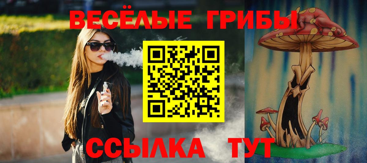 Псилоцибиновые грибы Psilocybe Мурино