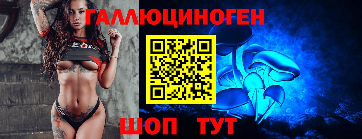 Мурино  Галлюциногенные грибы Magic Shrooms  Вход с VPN 